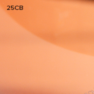 Линза 25CB VIVX Color Trast для модели Pilla 560